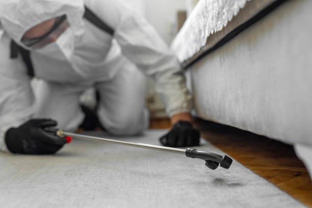Professional Pest Control technician working in Willowbrook, IL