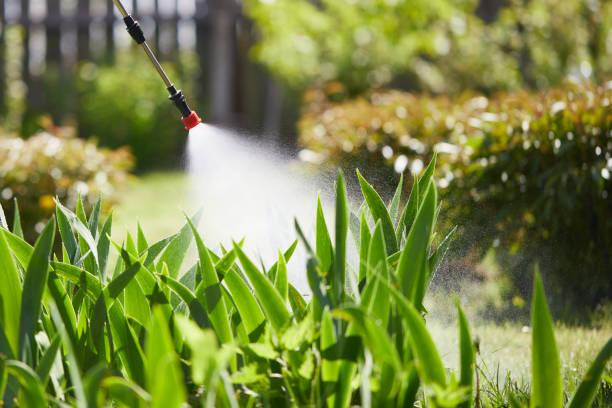 24/7 Emergency Pest Control experts in Willowbrook, IL