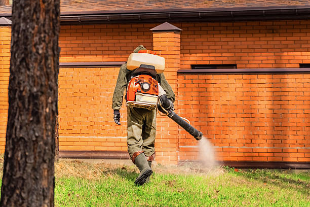 Top rated local Pest Control specialists in Willowbrook, IL
